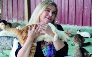 Центр для животных в Мадабе предоставляет приют и уход для бездомных кошек и собак