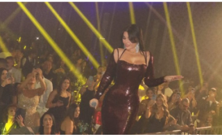 Jordanian Man Files for Divorce Over Haifa Wehbe Concert