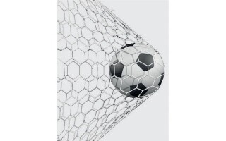 Jordanian Fans Praise Team's Performance at Arab Cup